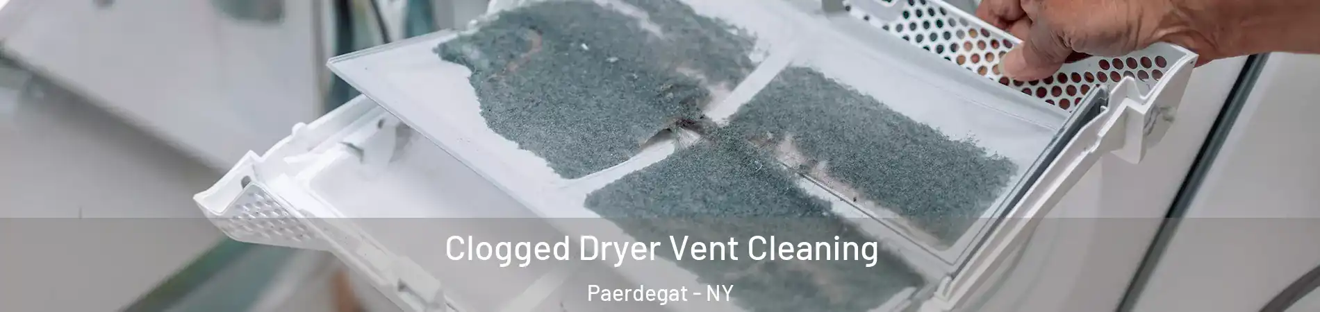 Clogged Dryer Vent Cleaning Paerdegat - NY