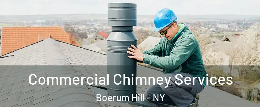 Commercial Chimney Services Boerum Hill - NY