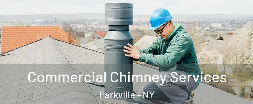 Commercial Chimney Services Parkville - NY