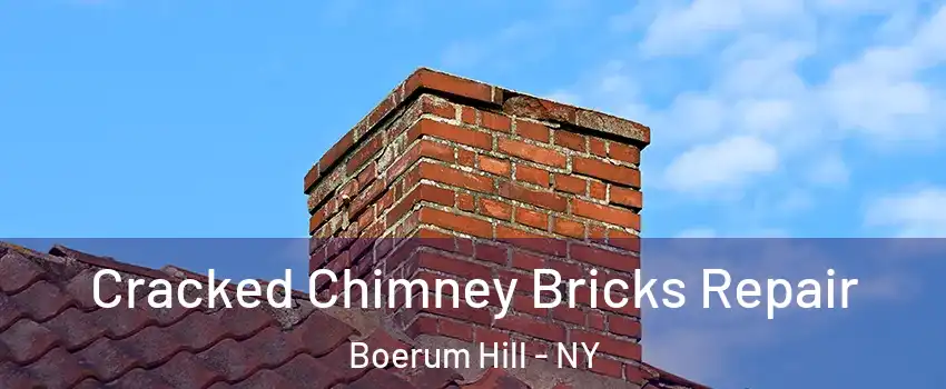 Cracked Chimney Bricks Repair Boerum Hill - NY