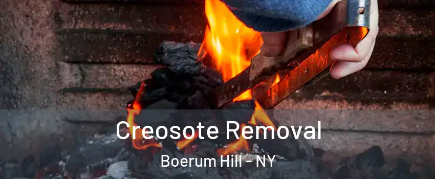 Creosote Removal Boerum Hill - NY