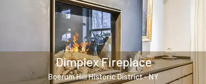 Dimplex Fireplace Boerum Hill Historic District - NY