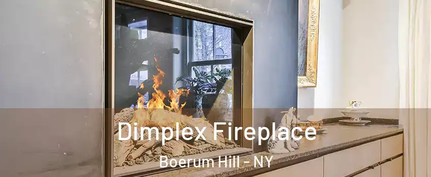 Dimplex Fireplace Boerum Hill - NY