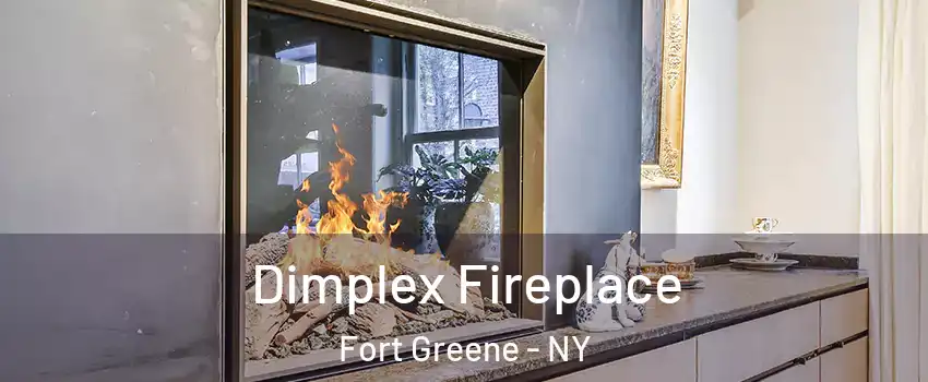 Dimplex Fireplace Fort Greene - NY