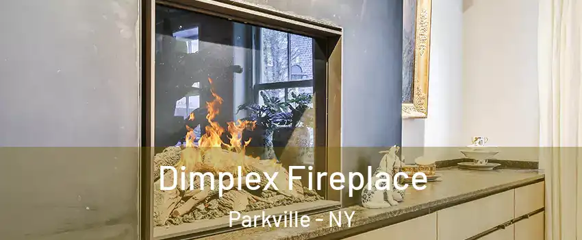 Dimplex Fireplace Parkville - NY