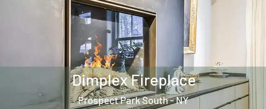 Dimplex Fireplace Prospect Park South - NY