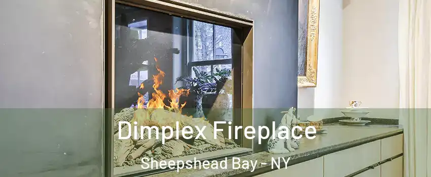 Dimplex Fireplace Sheepshead Bay - NY