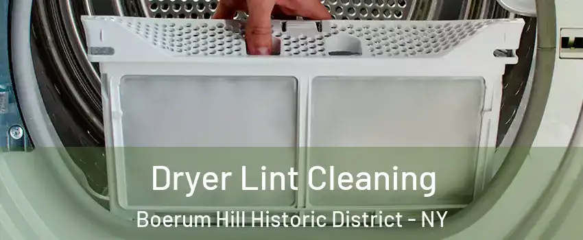 Dryer Lint Cleaning Boerum Hill Historic District - NY