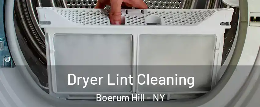 Dryer Lint Cleaning Boerum Hill - NY