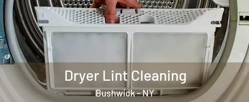 Dryer Lint Cleaning Bushwick - NY