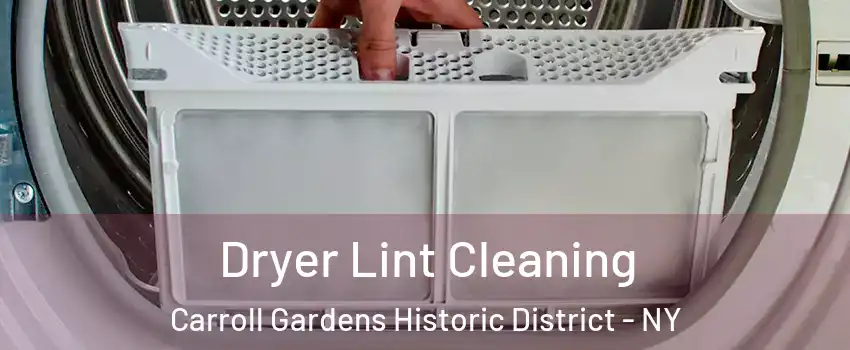 Dryer Lint Cleaning Carroll Gardens Historic District - NY