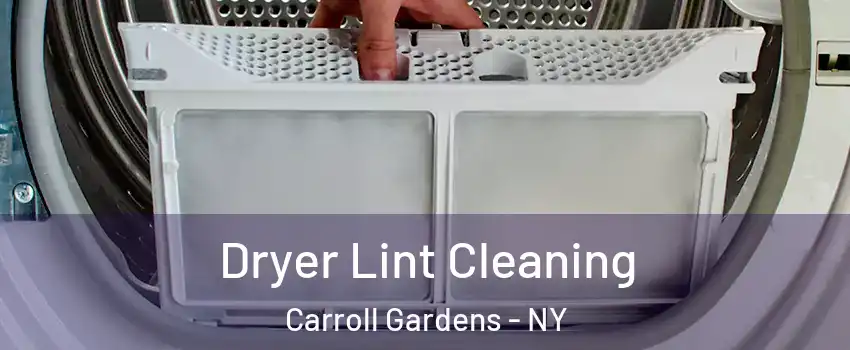 Dryer Lint Cleaning Carroll Gardens - NY