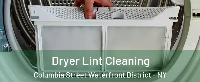 Dryer Lint Cleaning Columbia Street Waterfront District - NY