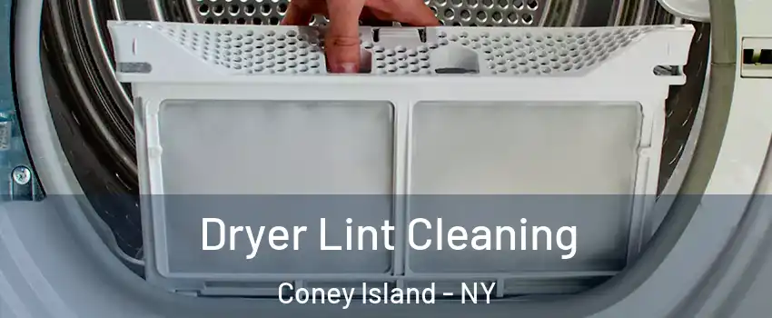 Dryer Lint Cleaning Coney Island - NY