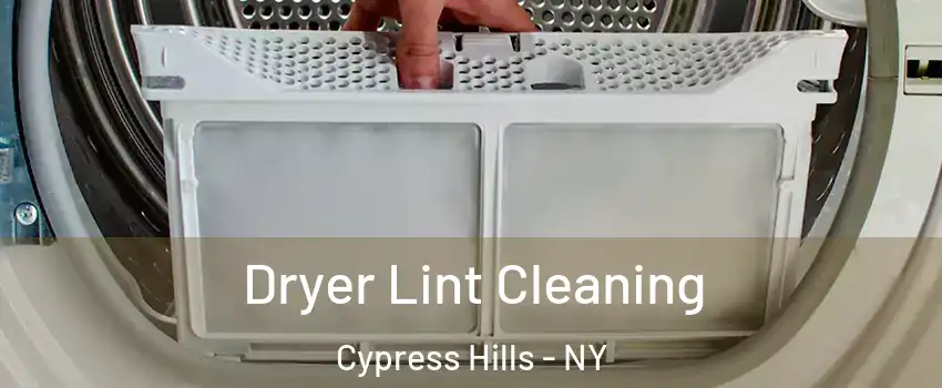 Dryer Lint Cleaning Cypress Hills - NY