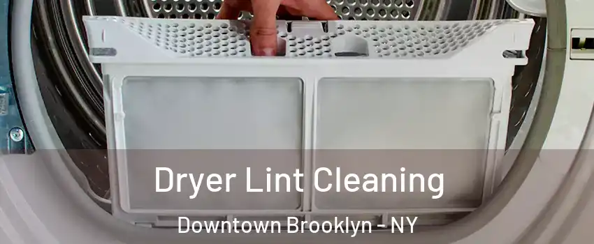 Dryer Lint Cleaning Downtown Brooklyn - NY