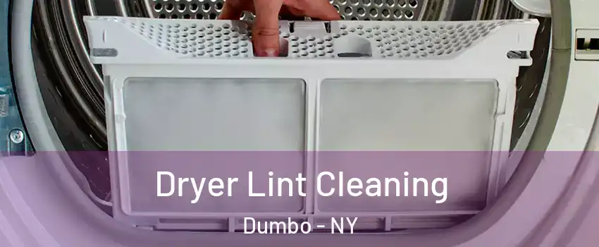 Dryer Lint Cleaning Dumbo - NY