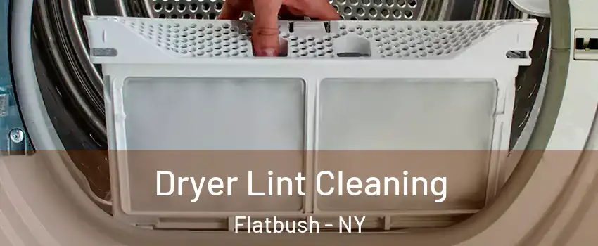 Dryer Lint Cleaning Flatbush - NY