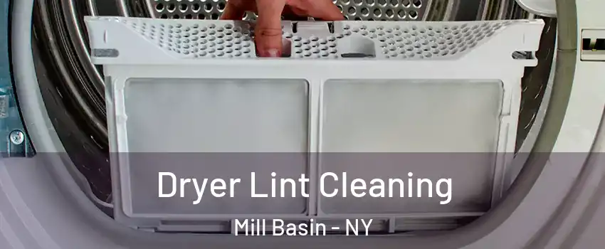 Dryer Lint Cleaning Mill Basin - NY