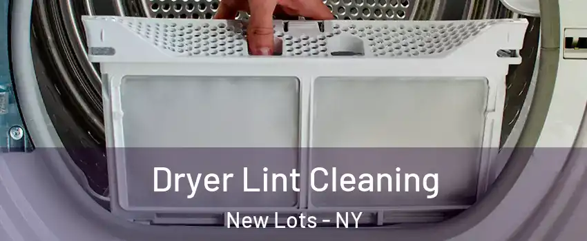 Dryer Lint Cleaning New Lots - NY