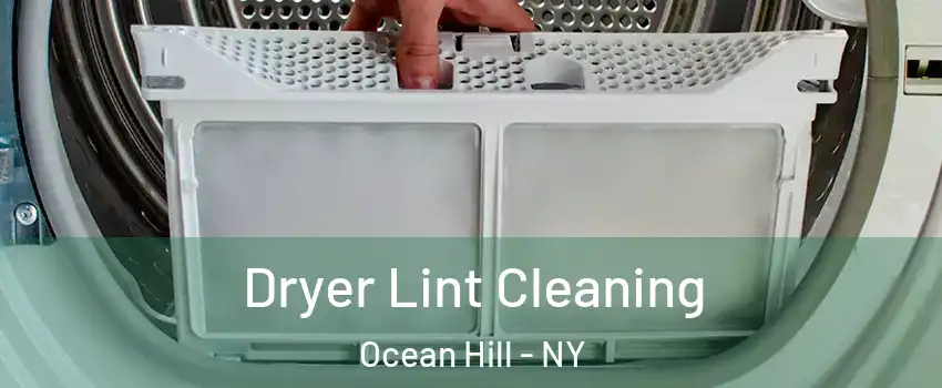 Dryer Lint Cleaning Ocean Hill - NY