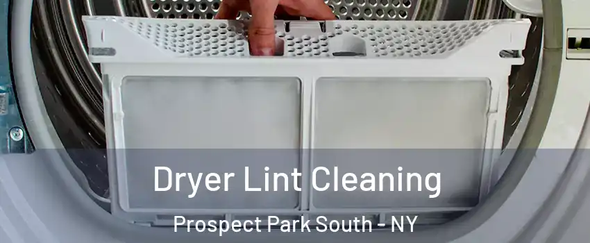 Dryer Lint Cleaning Prospect Park South - NY