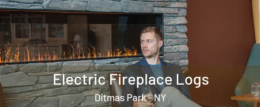 Electric Fireplace Logs Ditmas Park - NY