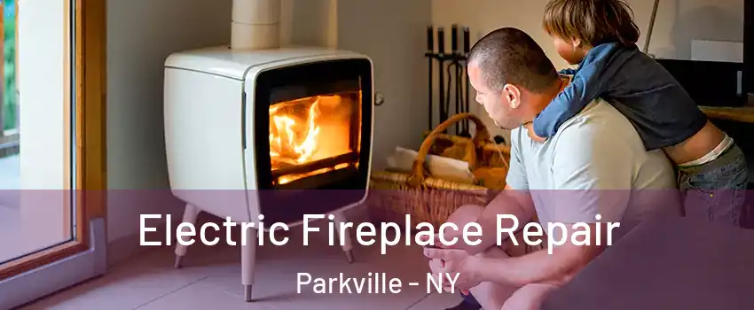 Electric Fireplace Repair Parkville - NY