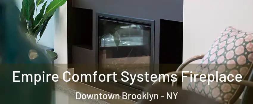 Empire Comfort Systems Fireplace Downtown Brooklyn - NY