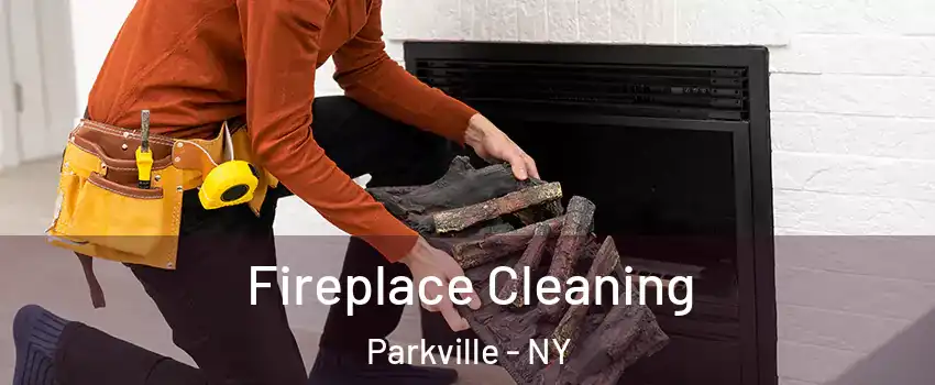 Fireplace Cleaning Parkville - NY