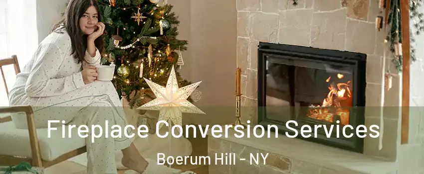 Fireplace Conversion Services Boerum Hill - NY