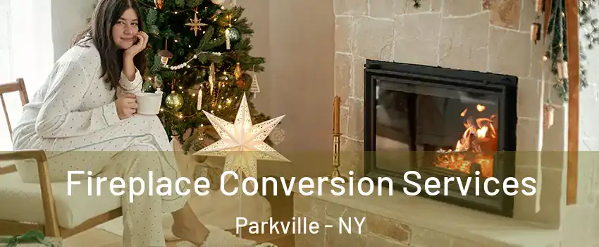 Fireplace Conversion Services Parkville - NY