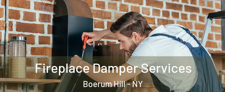 Fireplace Damper Services Boerum Hill - NY