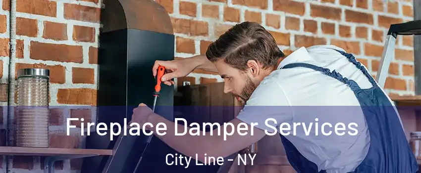 Fireplace Damper Services City Line - NY