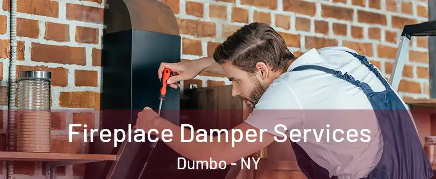 Fireplace Damper Services Dumbo - NY