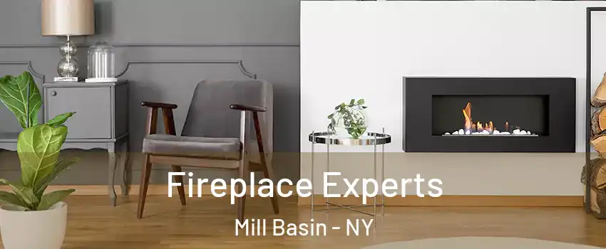 Fireplace Experts Mill Basin - NY