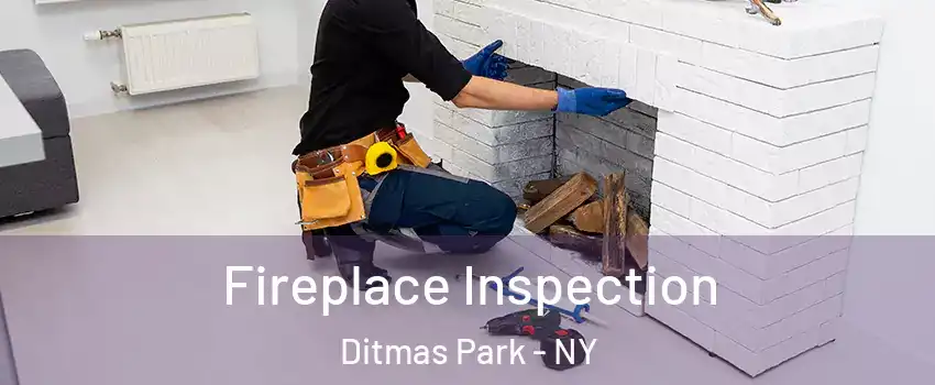 Fireplace Inspection Ditmas Park - NY