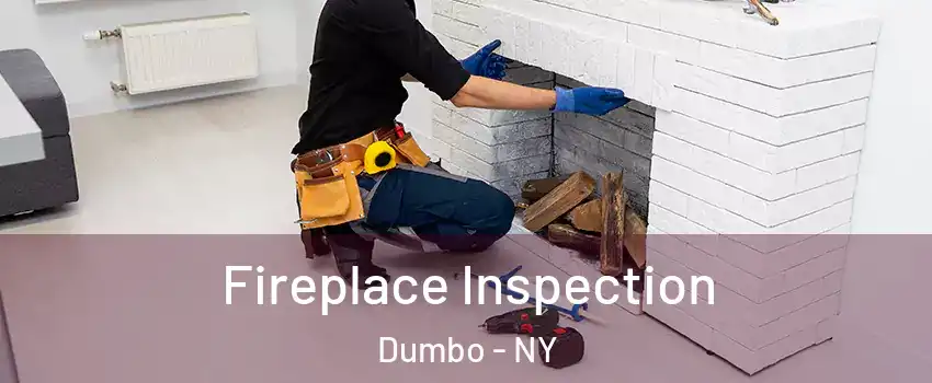 Fireplace Inspection Dumbo - NY