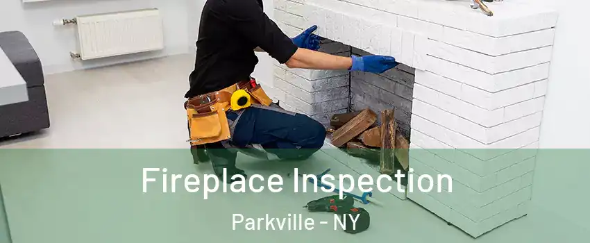 Fireplace Inspection Parkville - NY