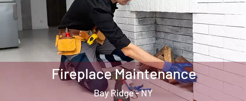 Fireplace Maintenance Bay Ridge - NY