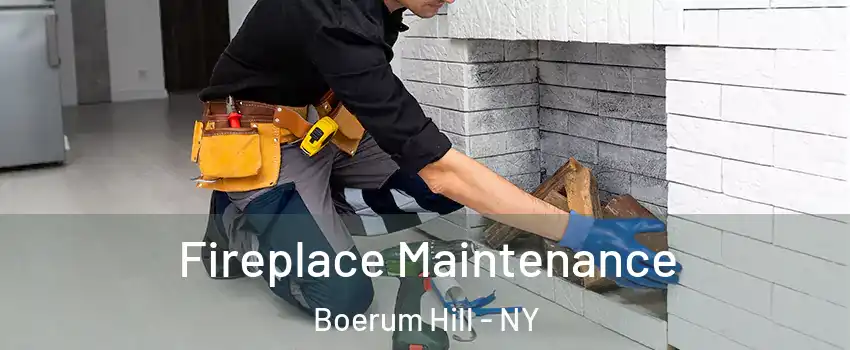 Fireplace Maintenance Boerum Hill - NY