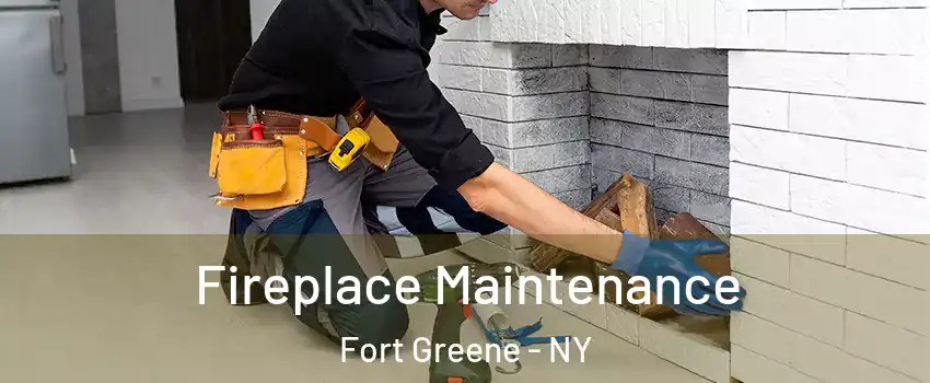 Fireplace Maintenance Fort Greene - NY