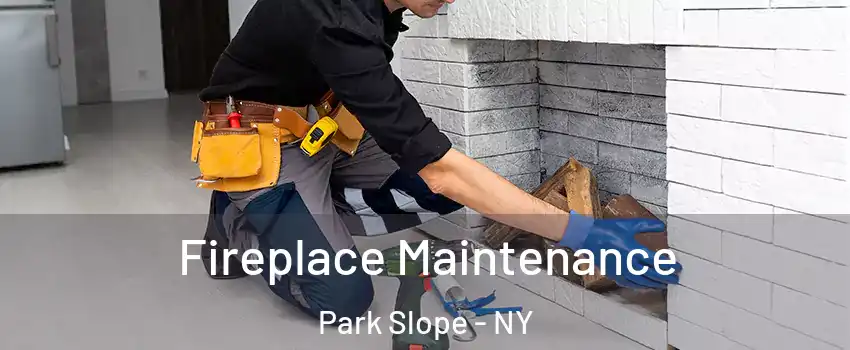 Fireplace Maintenance Park Slope - NY