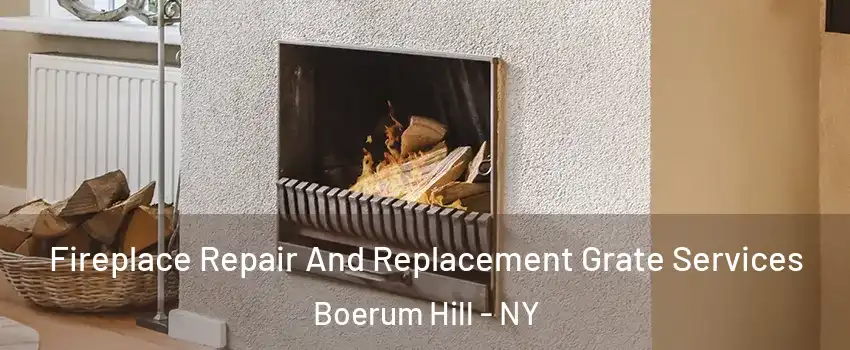 Fireplace Repair And Replacement Grate Services Boerum Hill - NY