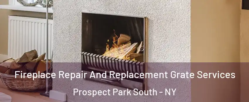 Fireplace Repair And Replacement Grate Services Prospect Park South - NY