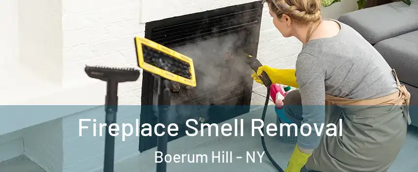 Fireplace Smell Removal Boerum Hill - NY