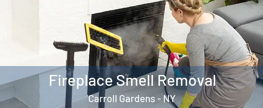 Fireplace Smell Removal Carroll Gardens - NY