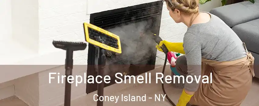 Fireplace Smell Removal Coney Island - NY