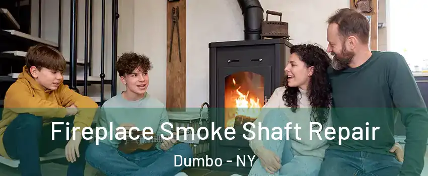 Fireplace Smoke Shaft Repair Dumbo - NY