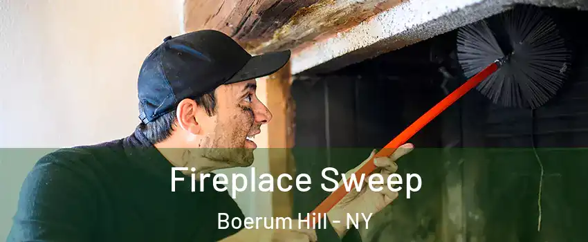 Fireplace Sweep Boerum Hill - NY